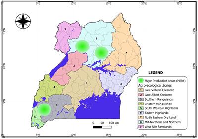 Farmer-preferred traits and variety choices for finger millet in Uganda